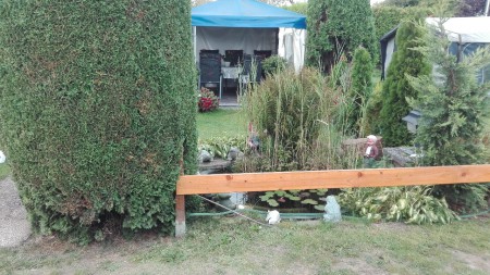Gartenteich ohne Fische , jedoch mit Fröschen ( meine Lieblinge )