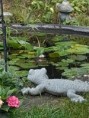 /album/fotogalerie-startseite/20220913-101052-jpg/