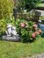 /album/fotogalerie-startseite/20220807-115914-jpg/
